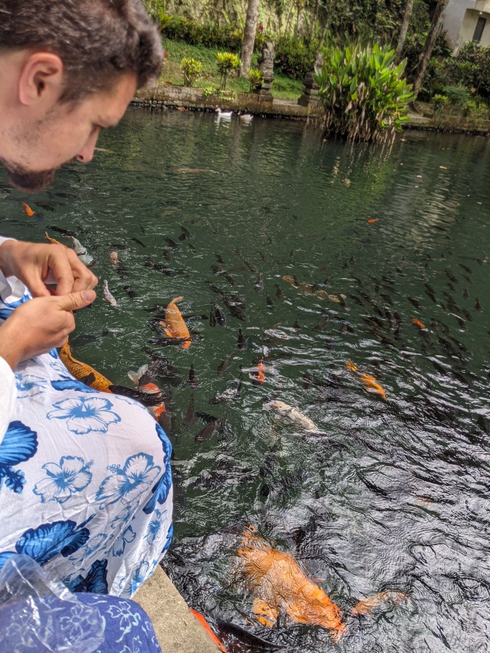 In Ubud, um Ubud, um Ubud herum – Nördlich von Ubud